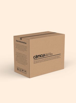 Thiết kế thùng carton cặm cụi creative